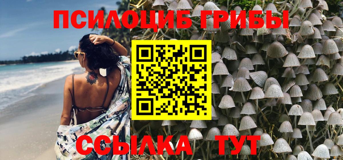 Псилоцибиновые грибы GOLDEN TEACHER  Вход с VPN  Анапа  Галлюциногенные грибы Magic Shrooms 